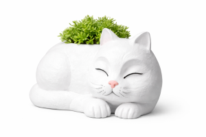 Vaso Gatinho Zen
