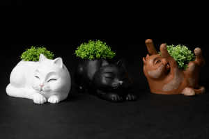 Vaso Gatinho Zen