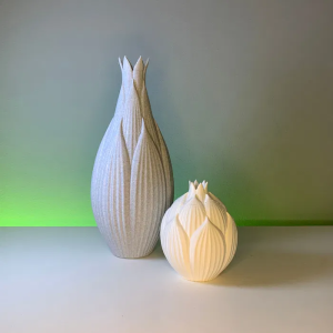 Vaso Decorativo Orgânico (Conjunto)