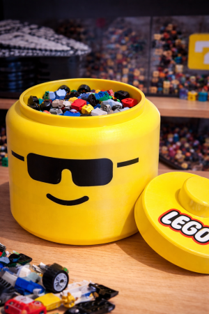 Organizador Brick Head – Porta Peças e Objetos Colecionáveis
